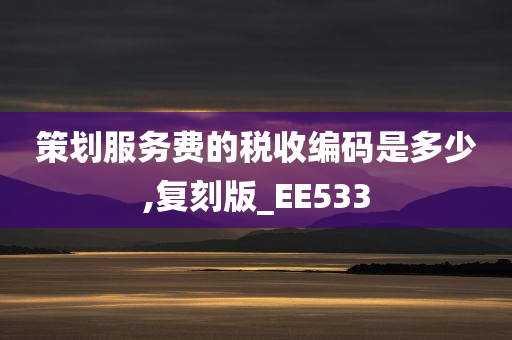 策划服务费的税收编码是多少,复刻版_EE533