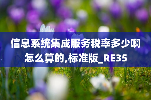 信息系统集成服务税率多少啊怎么算的,标准版_RE35