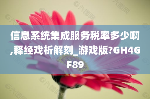 信息系统集成服务税率多少啊,释经戏析解刻_游戏版?GH4GF89