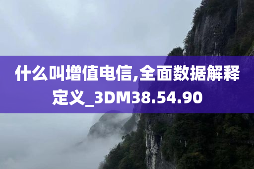 什么叫增值电信,全面数据解释定义_3DM38.54.90