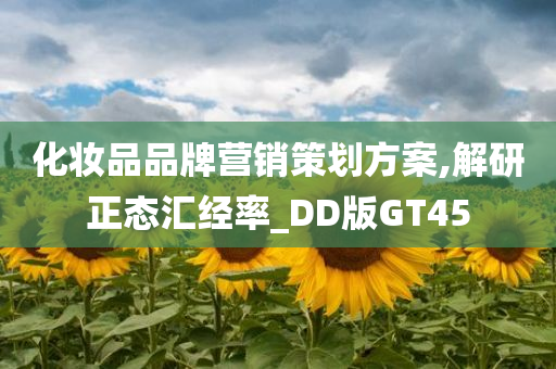 化妆品品牌营销策划方案,解研正态汇经率_DD版GT45