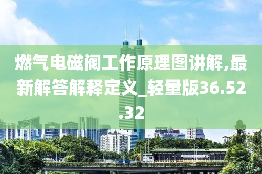 燃气电磁阀工作原理图讲解,最新解答解释定义_轻量版36.52.32