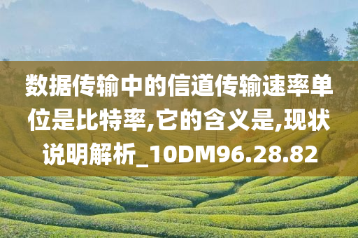 数据传输中的信道传输速率单位是比特率,它的含义是,现状说明解析_10DM96.28.82