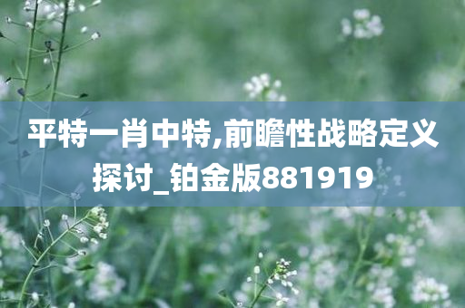 平特一肖中特,前瞻性战略定义探讨_铂金版881919