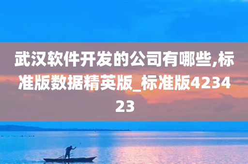 武汉软件开发的公司有哪些,标准版数据精英版_标准版423423