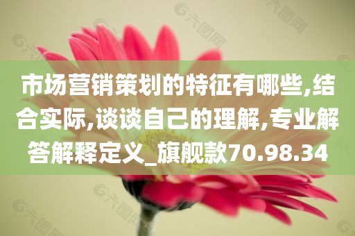 市场营销策划的特征有哪些,结合实际,谈谈自己的理解,专业解答解释定义_旗舰款70.98.34