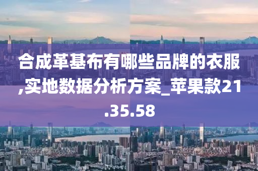 合成革基布有哪些品牌的衣服,实地数据分析方案_苹果款21.35.58