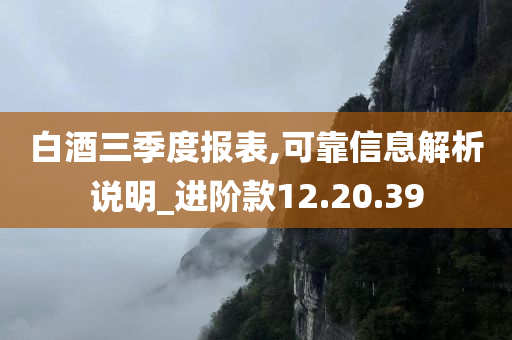 白酒三季度报表,可靠信息解析说明_进阶款12.20.39