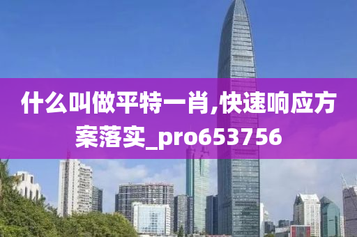 什么叫做平特一肖,快速响应方案落实_pro653756