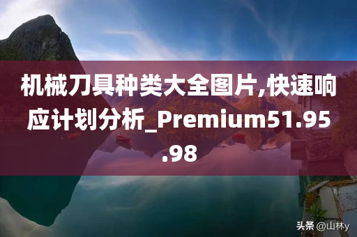 机械刀具种类大全图片,快速响应计划分析_Premium51.95.98