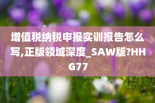 增值税纳税申报实训报告怎么写,正版领域深度_SAW版?HHG77