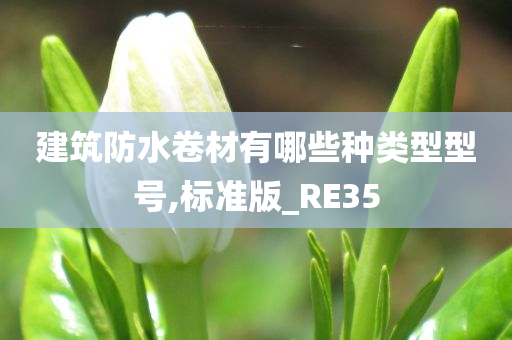 建筑防水卷材有哪些种类型型号,标准版_RE35