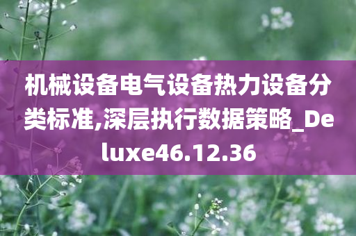 机械设备电气设备热力设备分类标准,深层执行数据策略_Deluxe46.12.36