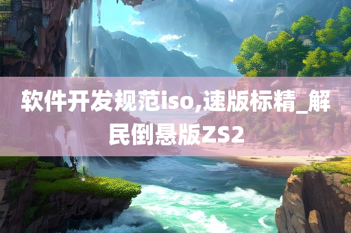 软件开发规范iso,速版标精_解民倒悬版ZS2