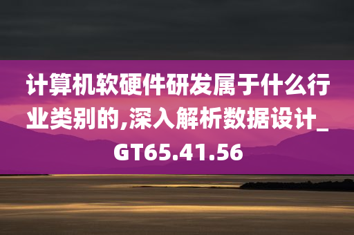 计算机软硬件研发属于什么行业类别的,深入解析数据设计_GT65.41.56