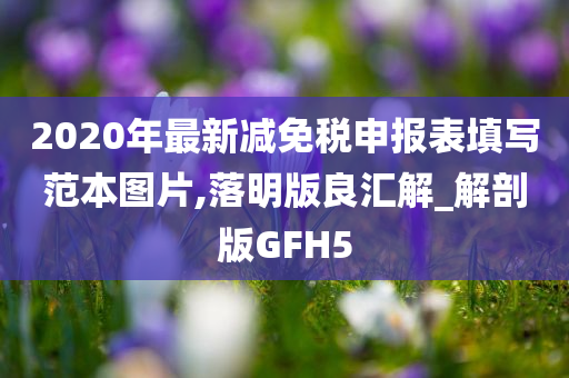 2020年最新减免税申报表填写范本图片,落明版良汇解_解剖版GFH5