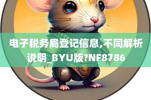 电子税务局登记信息,不同解析说明_BYU版?NF8786