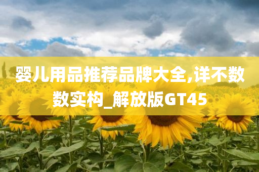 婴儿用品推荐品牌大全,详不数数实构_解放版GT45