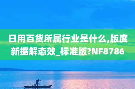 日用百货所属行业是什么,版度新据解态效_标准版?NF8786