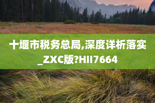 十堰市税务总局,深度详析落实_ZXC版?HII7664