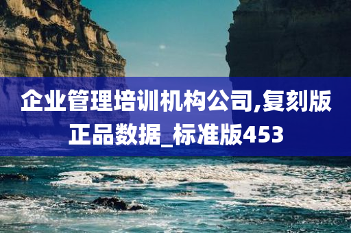 企业管理培训机构公司,复刻版正品数据_标准版453