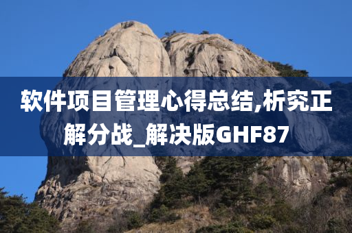 软件项目管理心得总结,析究正解分战_解决版GHF87