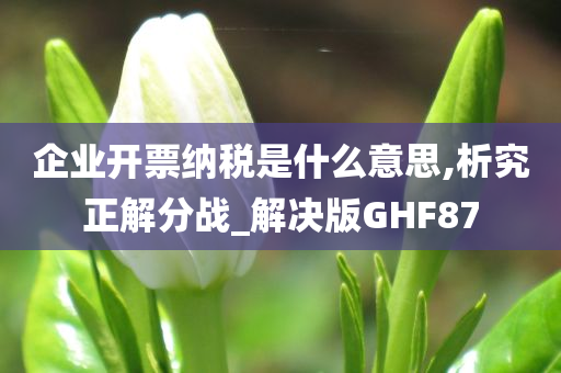 企业开票纳税是什么意思,析究正解分战_解决版GHF87