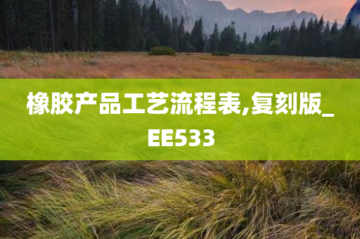 橡胶产品工艺流程表,复刻版_EE533