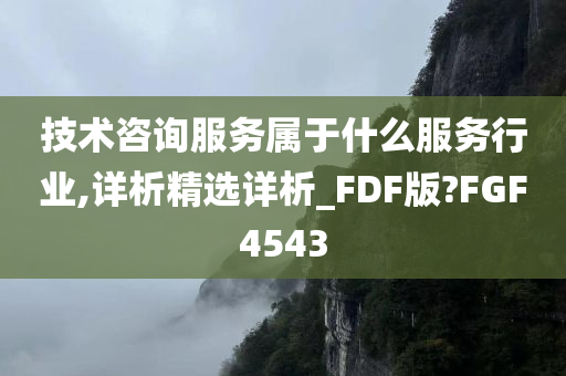 技术咨询服务属于什么服务行业,详析精选详析_FDF版?FGF4543