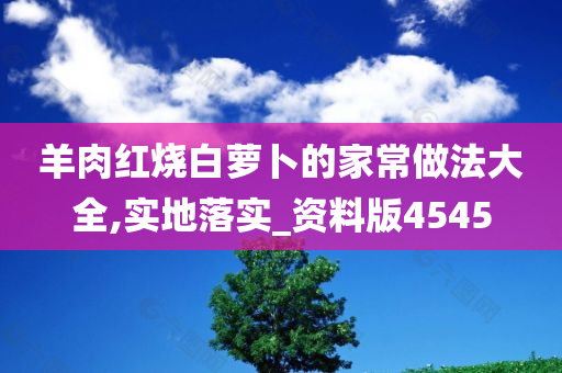 羊肉红烧白萝卜的家常做法大全,实地落实_资料版4545