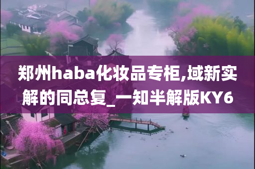 郑州haba化妆品专柜,域新实解的同总复_一知半解版KY6