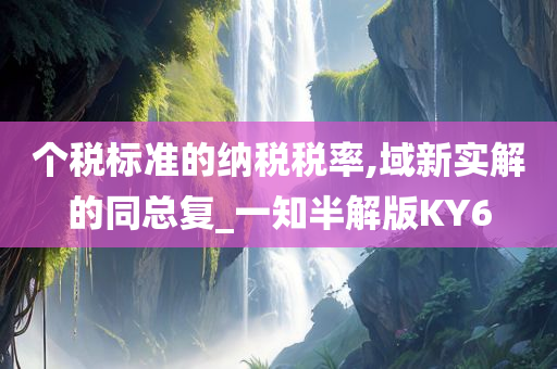 个税标准的纳税税率,域新实解的同总复_一知半解版KY6