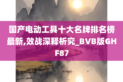 国产电动工具十大名牌排名榜最新,效战深释析究_BVB版GHF87