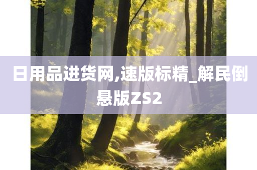 日用品进货网,速版标精_解民倒悬版ZS2