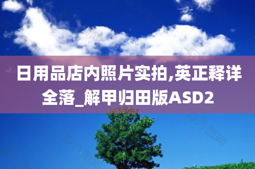 日用品店内照片实拍,英正释详全落_解甲归田版ASD2