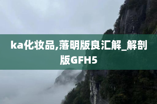 ka化妆品,落明版良汇解_解剖版GFH5