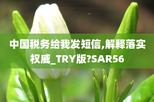 中国税务给我发短信,解释落实权威_TRY版?SAR56