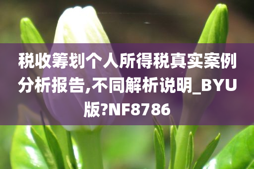 税收筹划个人所得税真实案例分析报告,不同解析说明_BYU版?NF8786