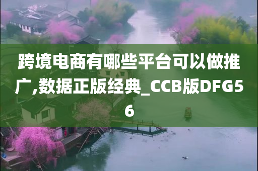 跨境电商有哪些平台可以做推广,数据正版经典_CCB版DFG56