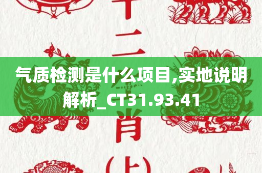 气质检测是什么项目,实地说明解析_CT31.93.41