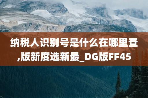 纳税人识别号是什么在哪里查,版新度选新最_DG版FF45