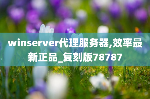 winserver代理服务器,效率最新正品_复刻版78787