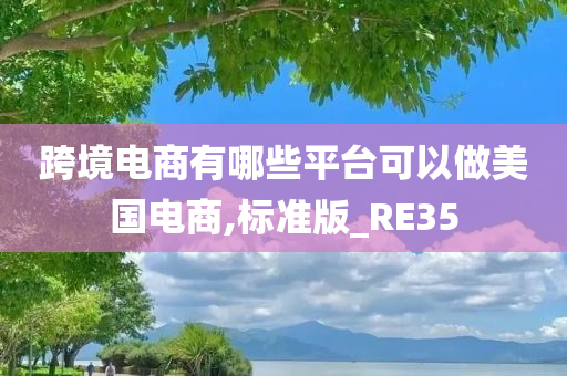 跨境电商有哪些平台可以做美国电商,标准版_RE35