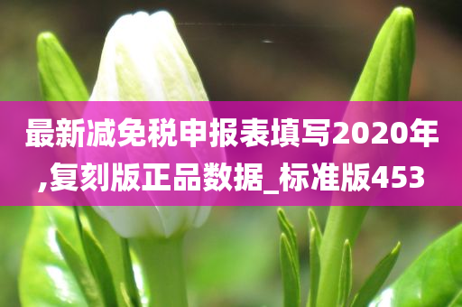 最新减免税申报表填写2020年,复刻版正品数据_标准版453