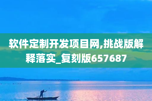 软件定制开发项目网,挑战版解释落实_复刻版657687