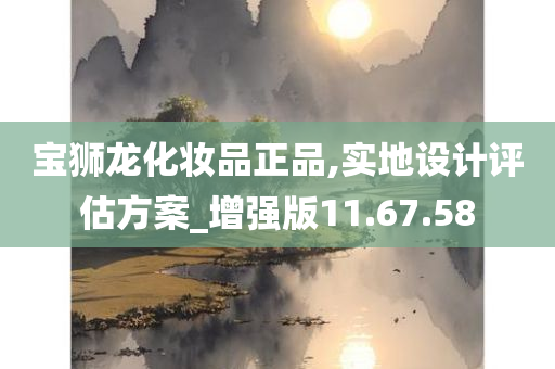 宝狮龙化妆品正品,实地设计评估方案_增强版11.67.58