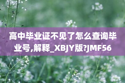 高中毕业证不见了怎么查询毕业号,解释_XBJY版?JMF56