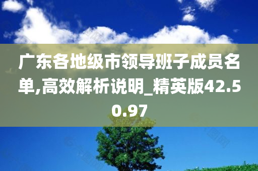 广东各地级市领导班子成员名单,高效解析说明_精英版42.50.97