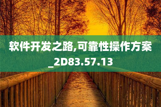 软件开发之路,可靠性操作方案_2D83.57.13