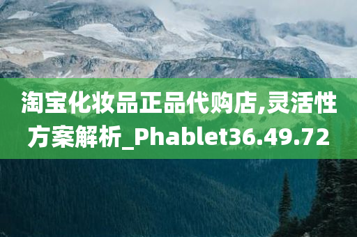 淘宝化妆品正品代购店,灵活性方案解析_Phablet36.49.72